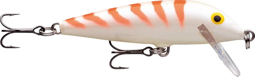 RAPALA　ラパラ　カウントダウン9　CD9　10個セット RaPaLa ラパラ カウントダウン9 シンキング CD9 バルサ 簡易梱包